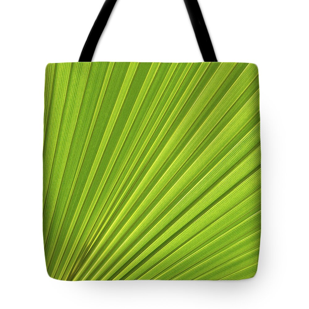 Palm Leaf Tote Bag featuring the photograph Palm leaf and Mediterranean sunlight 1 by Adriana Mueller