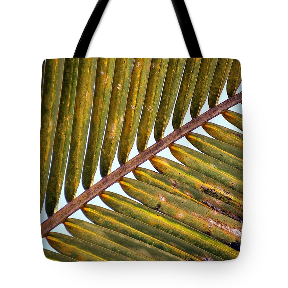 Palm Leaves Watercolor Tote Bag featuring the photograph Palm Leaf by Thomas Schroeder