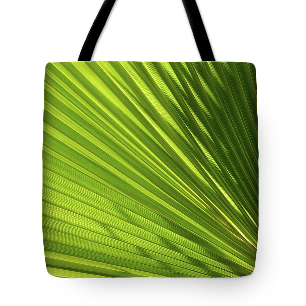 Palm Leaf Tote Bag featuring the photograph Palm leaf with light and shadow 2 by Adriana Mueller