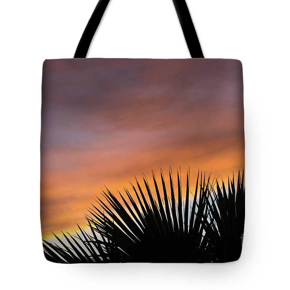 Palm Leaves Tote Bag featuring the photograph Palm leaves and soft clouds at sunset by Adriana Mueller