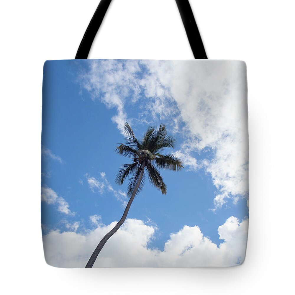 Palm Tote Bag featuring the photograph Palm Tree in the Clouds by Beachtown Views