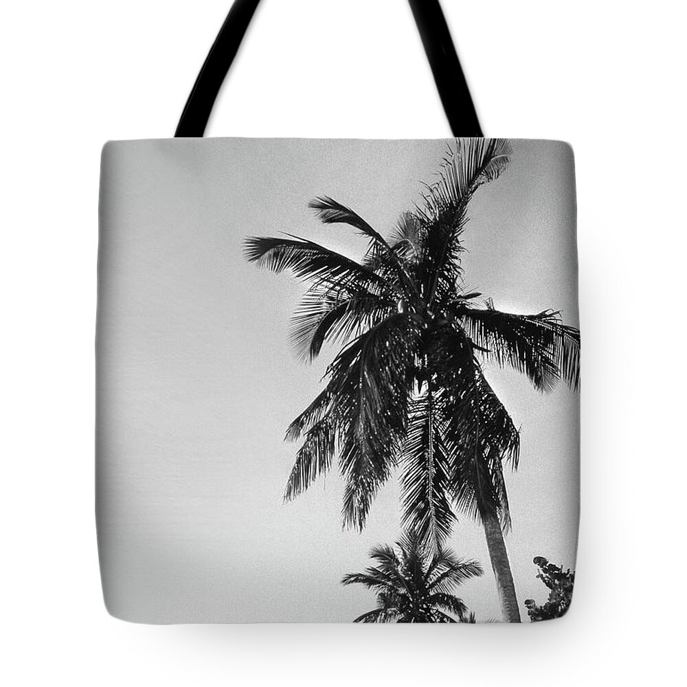 Fine Art Tote Bag featuring the photograph Palm Tree by Mike McGlothlen