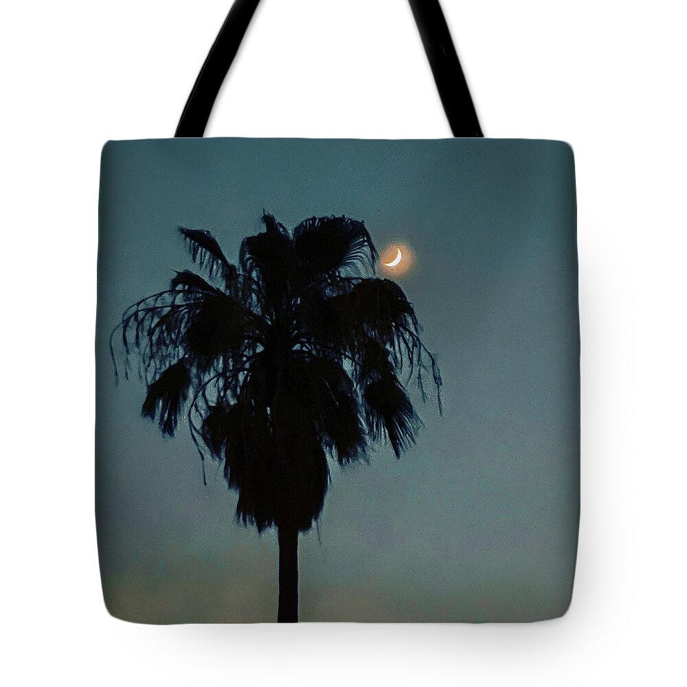 Palm Tree Tote Bag featuring the photograph Palm tree with moon by Grey Coopre