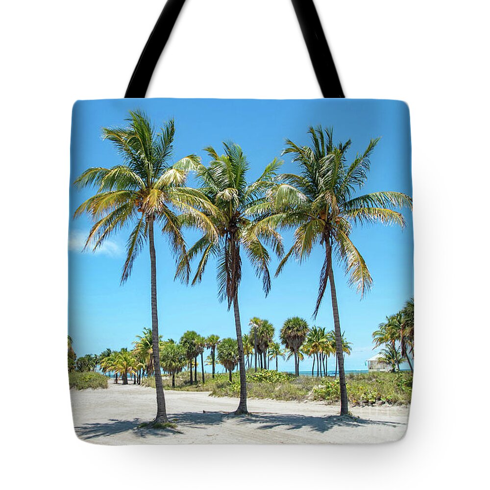Palm Tote Bag featuring the photograph Palm Trees at Crandon Park Beach in Key Biscayne Florida by Beachtown Views
