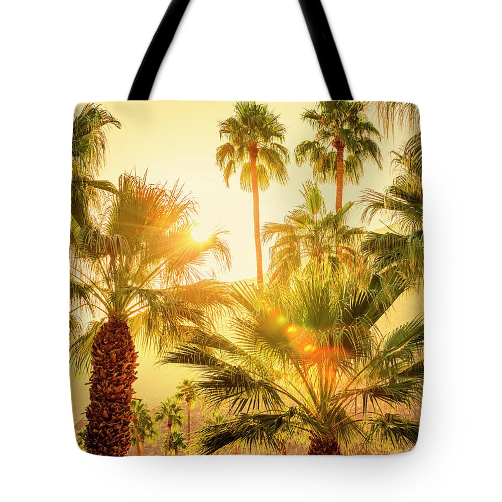 Sunset Palm Springs Tote Bag featuring the photograph Palm Trees Palm Springs California 0492-100 by Amyn Nasser