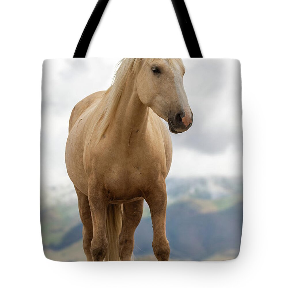 Horses Tote Bag featuring the photograph Palomino by Mary Hone