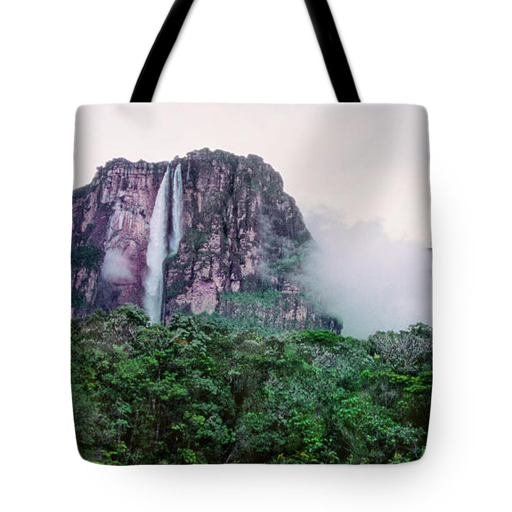 Dave Welling Tote Bag featuring the photograph Panorama Angel Falls Canaima Np Venezuela by Dave Welling