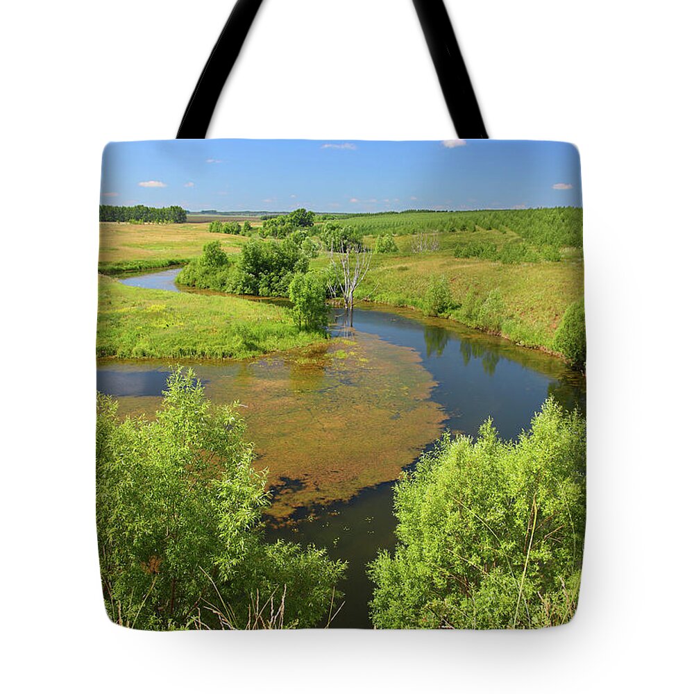 Lake Tote Bag featuring the photograph Panoramic Landscape With Pond by Mikhail Kokhanchikov
