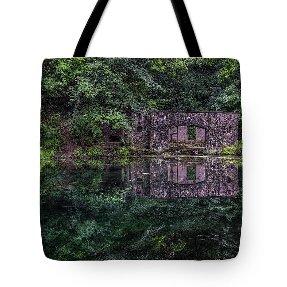Paradise Springs Tote Bag featuring the photograph Paradise Reflections by Brad Bellisle