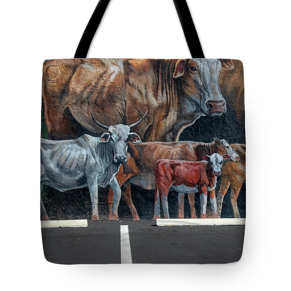 Mural Tote Bag featuring the photograph Parked Cows by Dart Humeston