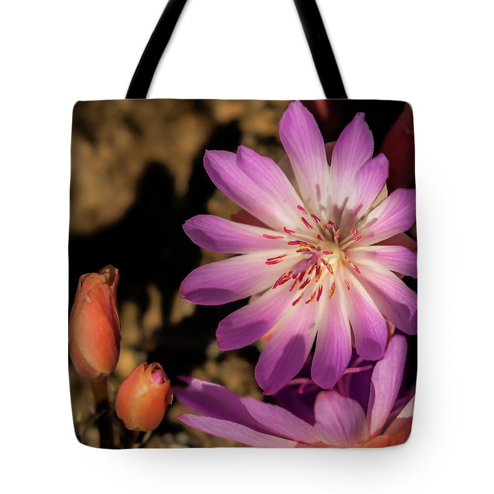  Tote Bag featuring the photograph Pasque Flower by Laura Terriere