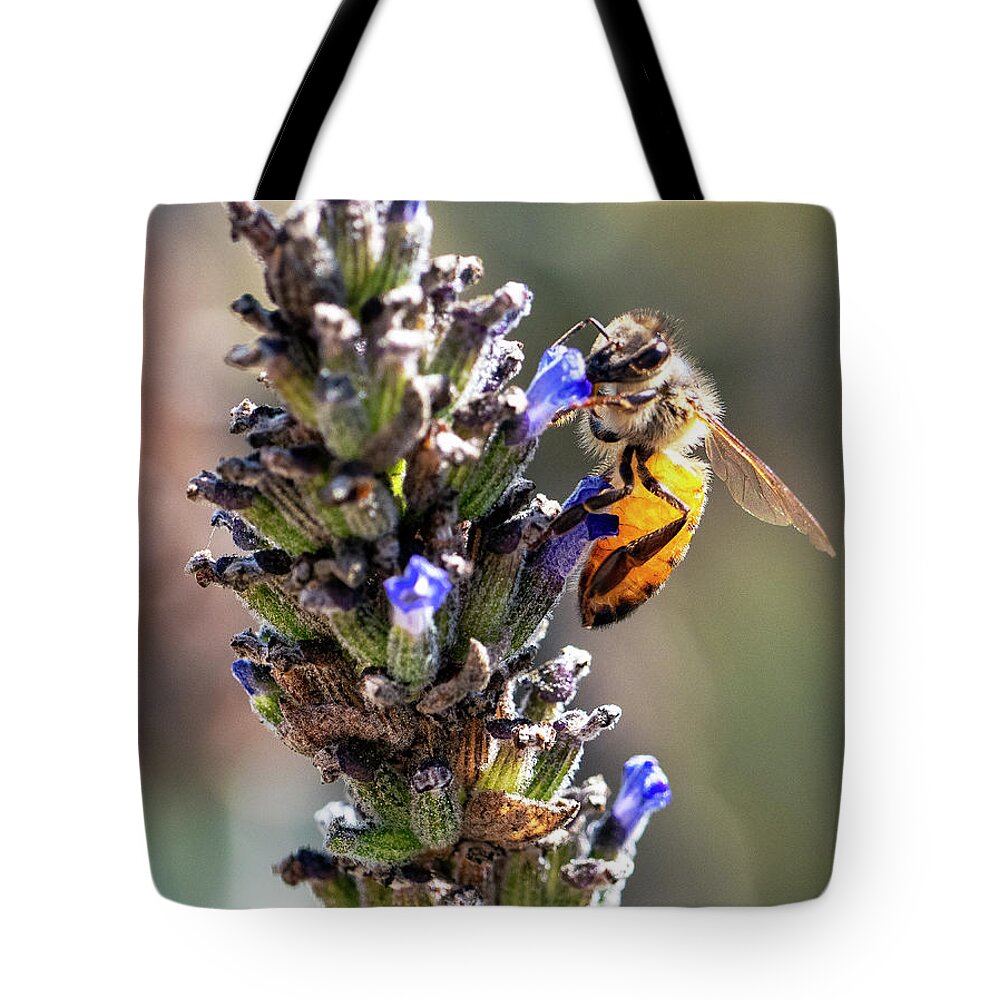 Bee Tote Bag featuring the photograph Passing The Whiff Test by Joe Schofield