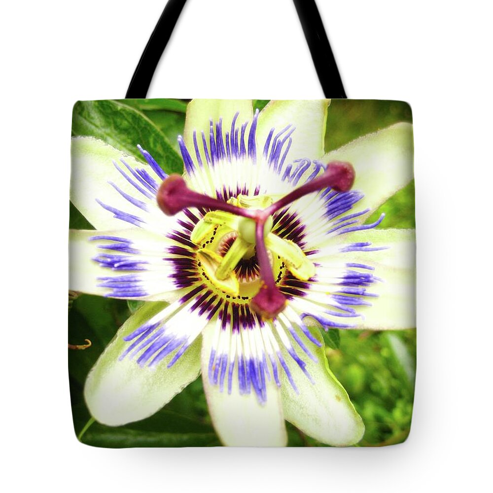 Flower Tote Bag featuring the photograph Passion Flower by Segura Shaw Photography