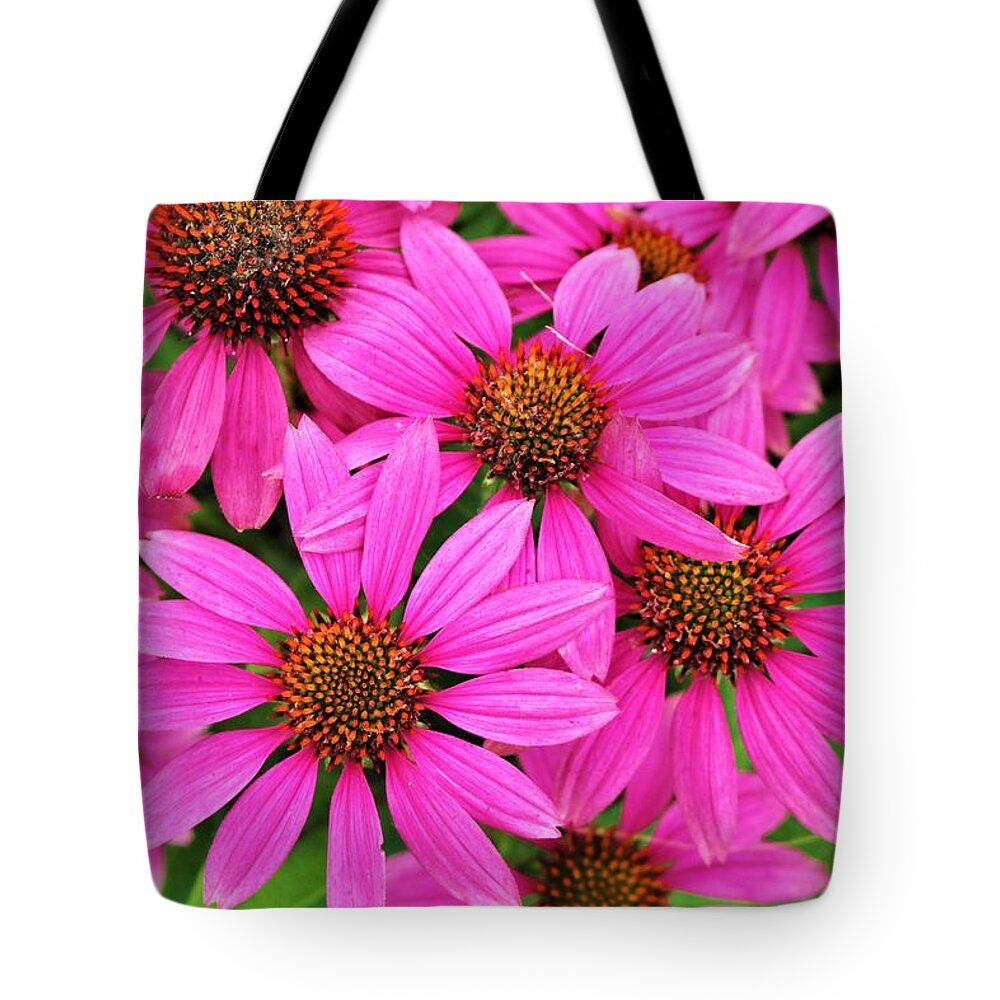 Nature Tote Bag featuring the photograph Passionately Pink Coneflowers by Sheila Brown
