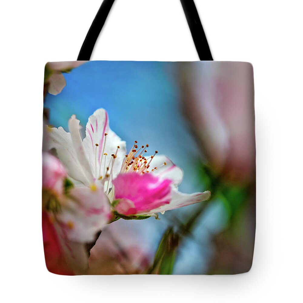 Tropical Dreams Tote Bag featuring the photograph Passions of Spring by Az Jackson