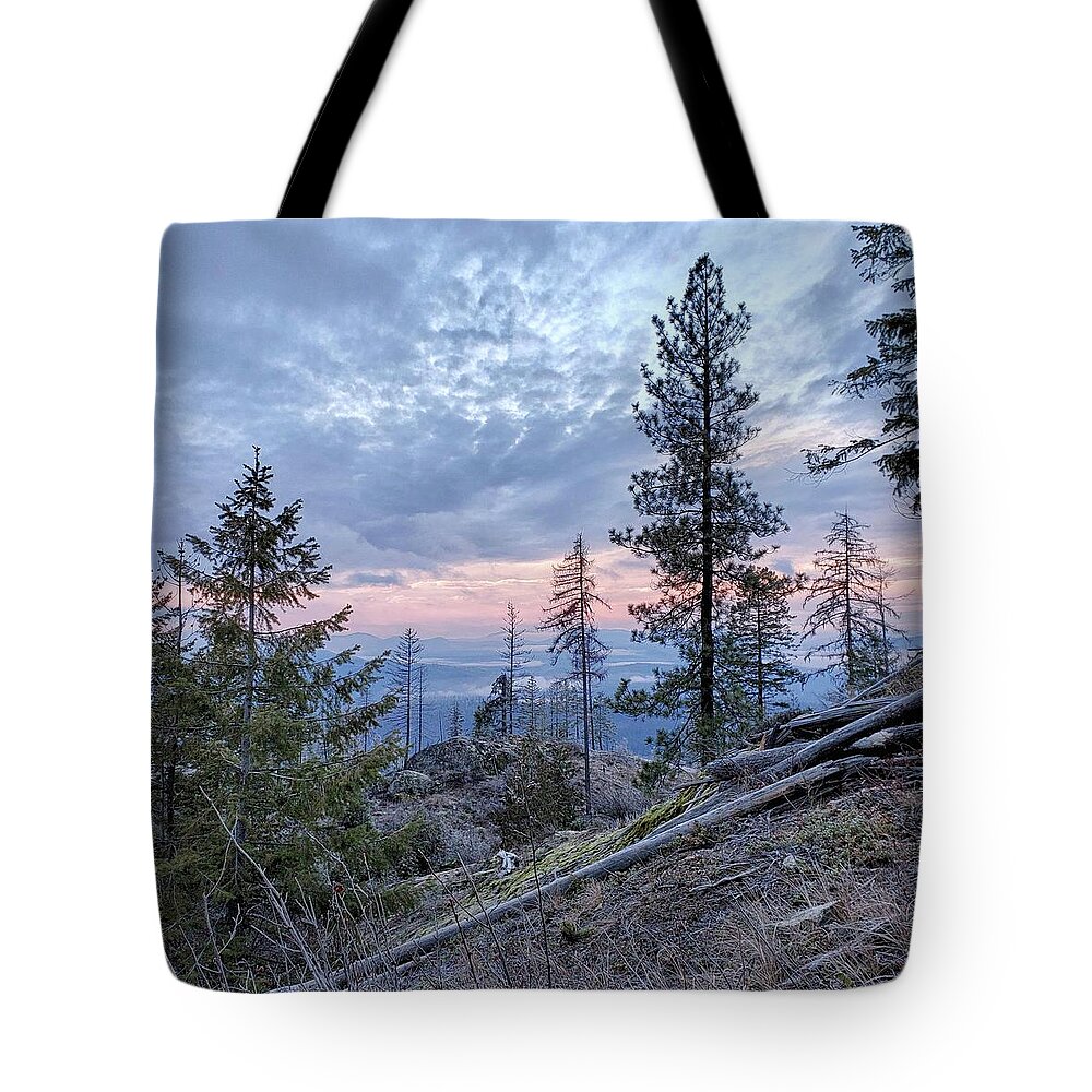 Sunrise Tote Bag featuring the photograph Pastel morning by Debra Baldwin