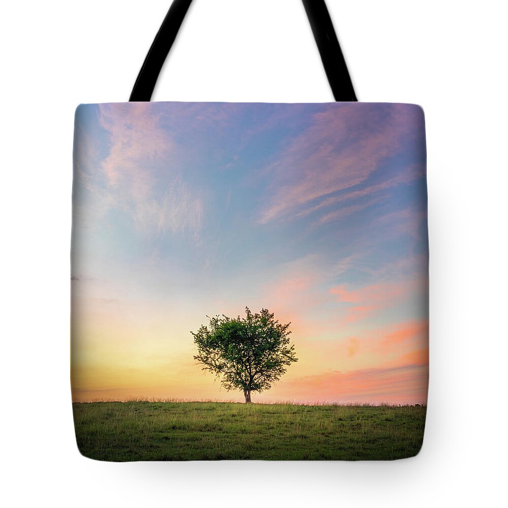 Sunrise Tote Bag featuring the photograph Pastel Sunrise Beautiful Tree Mississippi by Jordan Hill