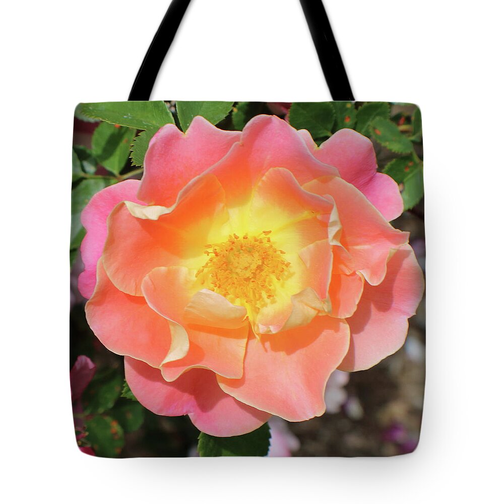 Pastel Tote Bag featuring the photograph Pastel Sunset Rose by Kenneth Pope