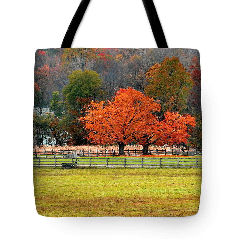 Autumn Tote Bag featuring the photograph Pastoral Autumn by Kristin Elmquist