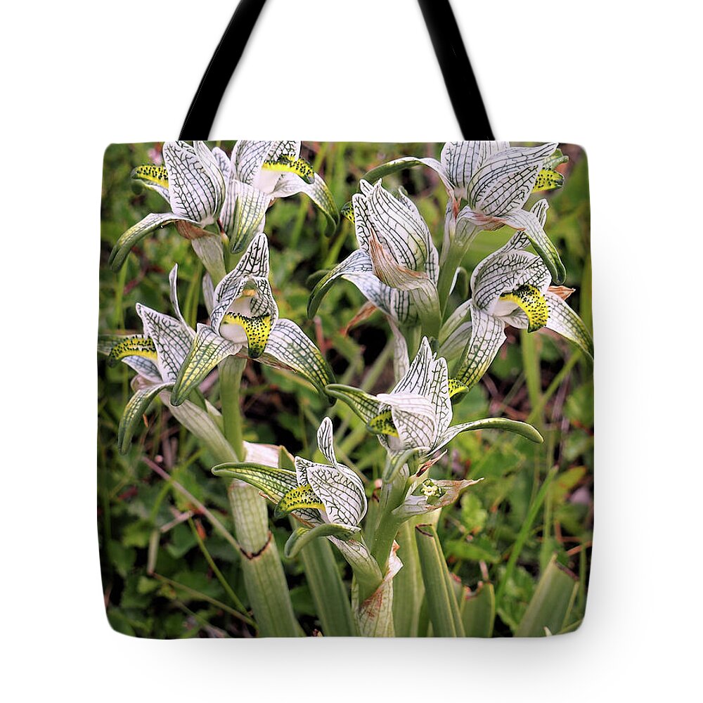 Orchids Tote Bag featuring the photograph Patagonia Orchids by Leslie Struxness