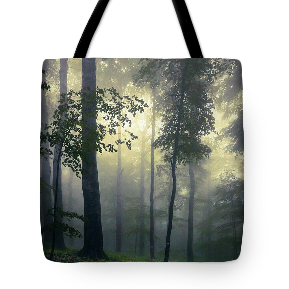 Balkan Mountains Tote Bag featuring the photograph Path In the Mist by Evgeni Dinev