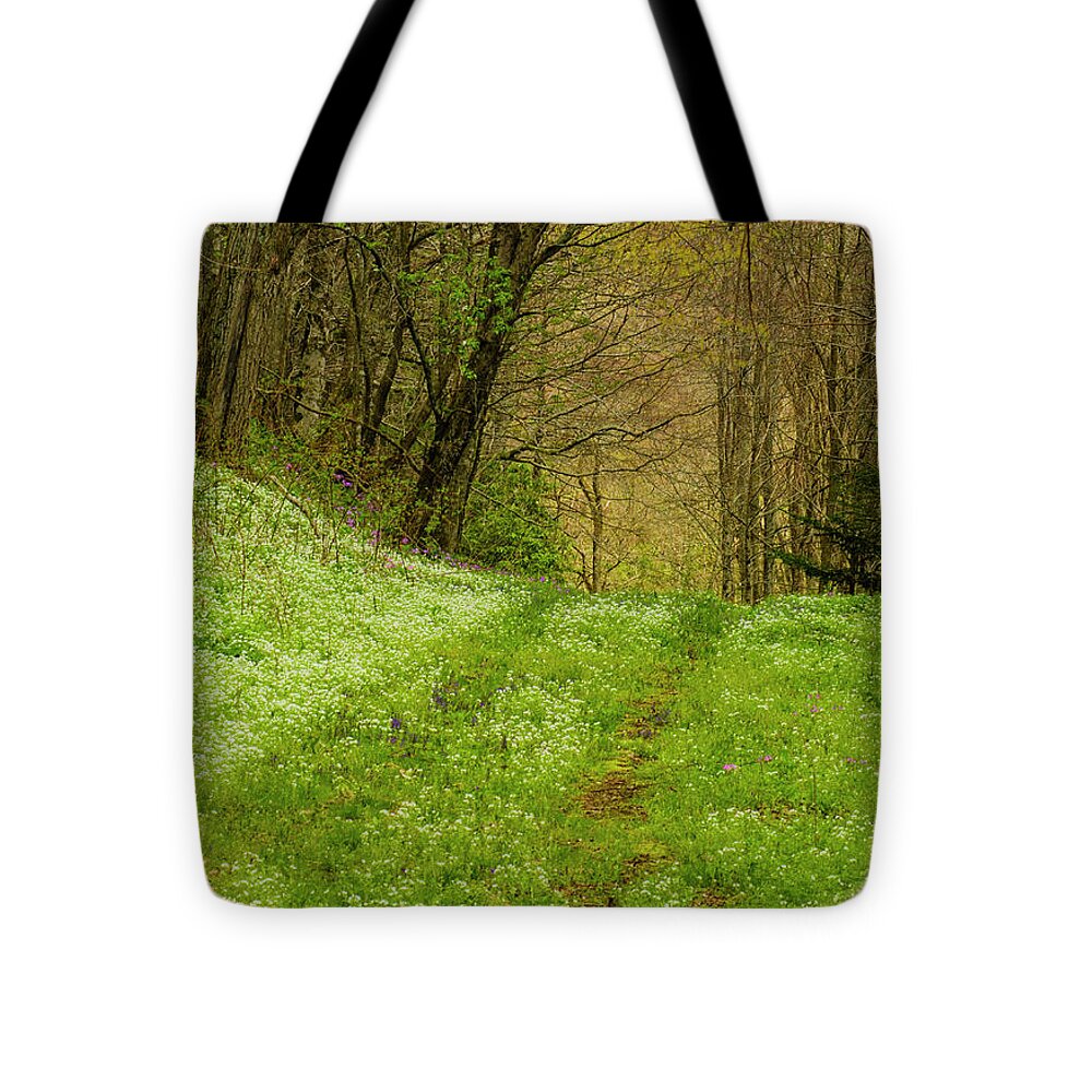 Blue Ridge Mountains Tote Bag featuring the photograph Path Less Traveled by Melissa Southern
