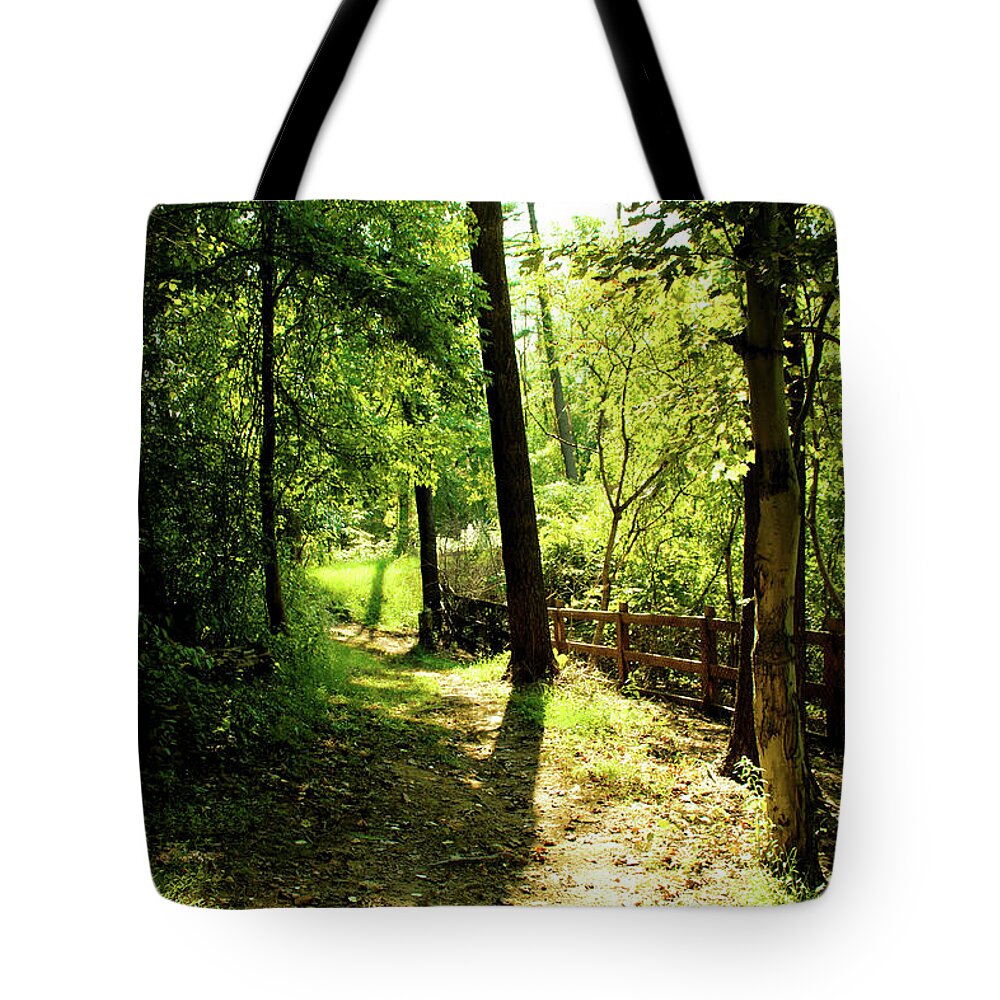 Trees Tote Bag featuring the photograph Path out of Summer by Christopher Reed