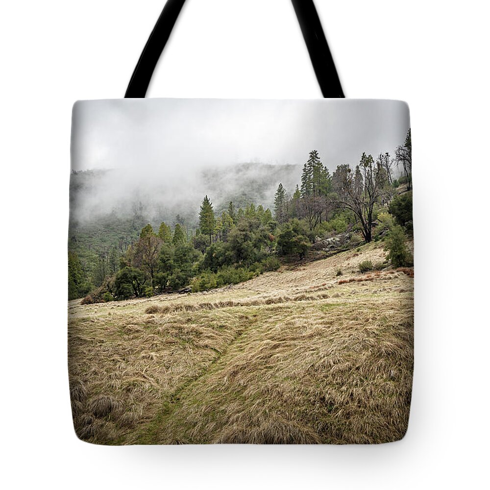 Trees Tote Bag featuring the photograph Paths Crossed by Ryan Weddle