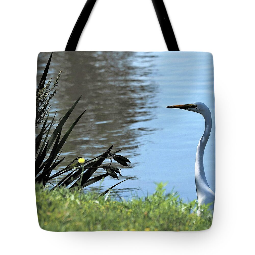 White Tote Bag featuring the photograph Patience 5 by C Winslow Shafer