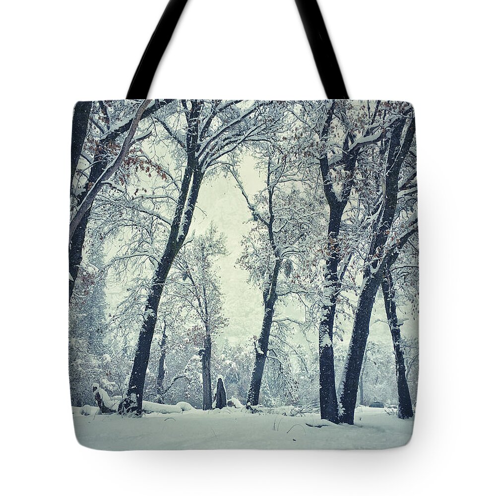 Winter Tote Bag featuring the photograph Peace by Jonathan Nguyen