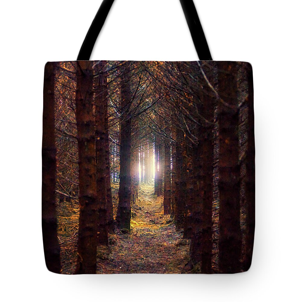 Woodland Tote Bag featuring the photograph Peaceful Path by Kype Hills