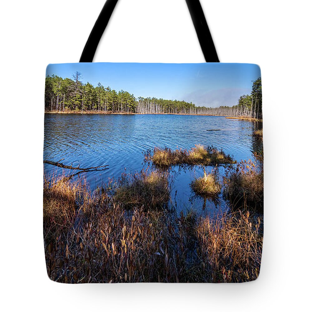 Grass Tote Bag featuring the photograph Peaceful Pineland Photo by Louis Dallara