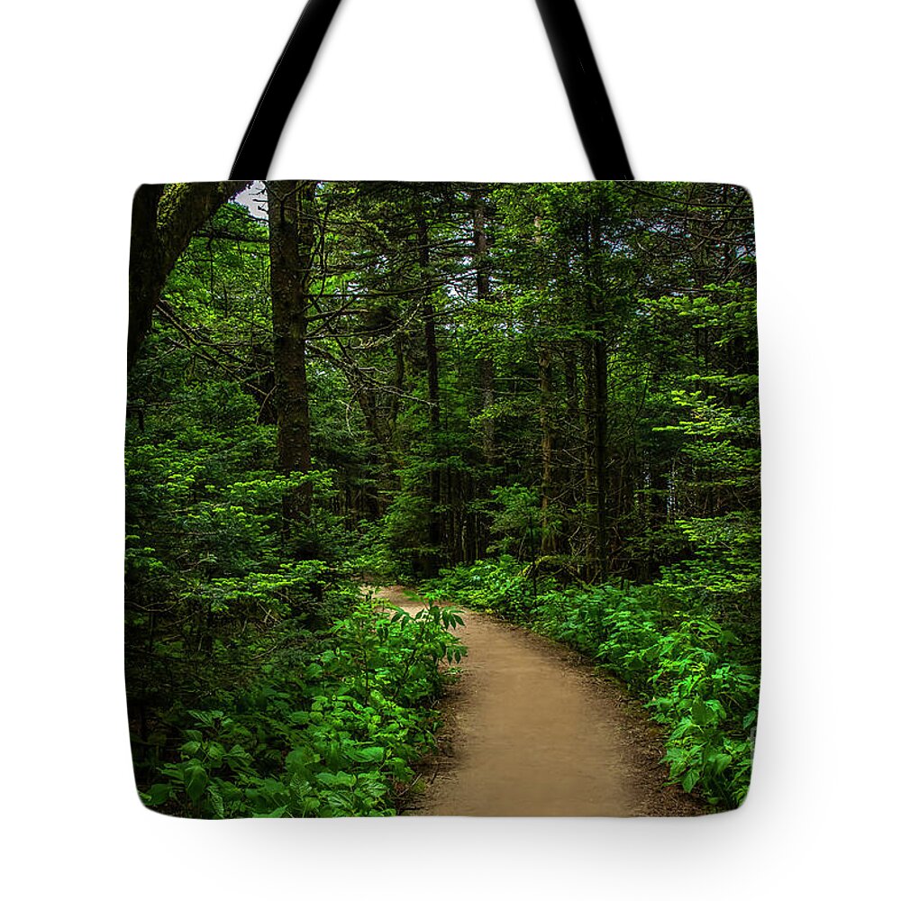Trail Tote Bag featuring the photograph Peaceful trail on Roan Mountain by Shelia Hunt