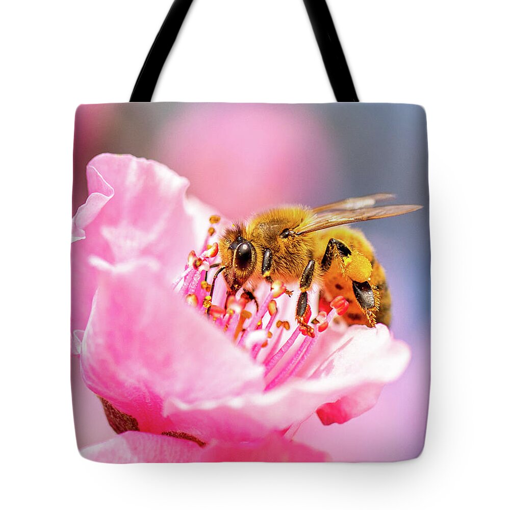 Bee Tote Bag featuring the photograph Peach Blossom Pollinator by Rachel Morrison