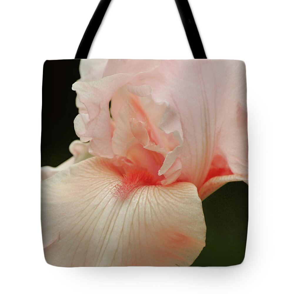 Iris Tote Bag featuring the photograph Peach Pink Iris Flower for Spring by Gaby Ethington