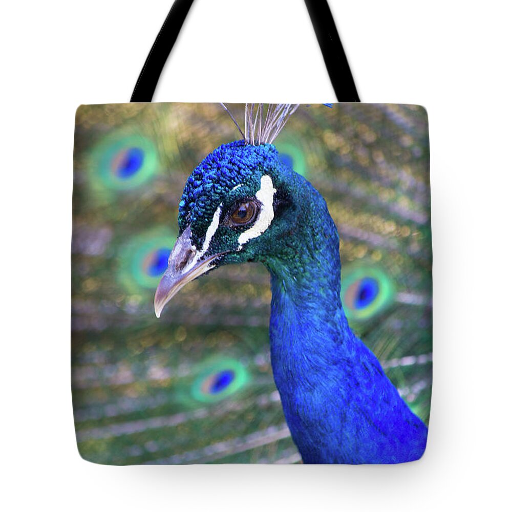 Peacock Tote Bag featuring the photograph Peacock 2 by Deborah M