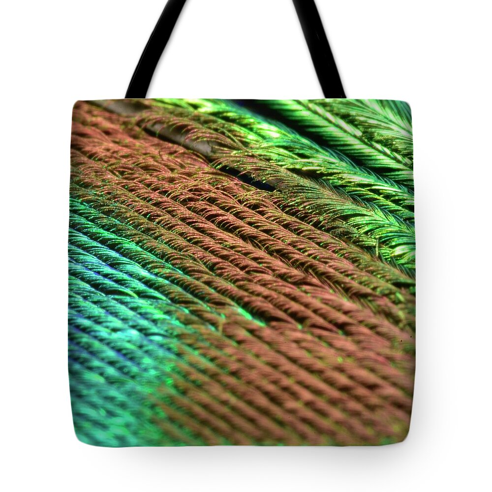 Peacock Feather Tote Bag featuring the photograph Peacock Feather by Neil R Finlay