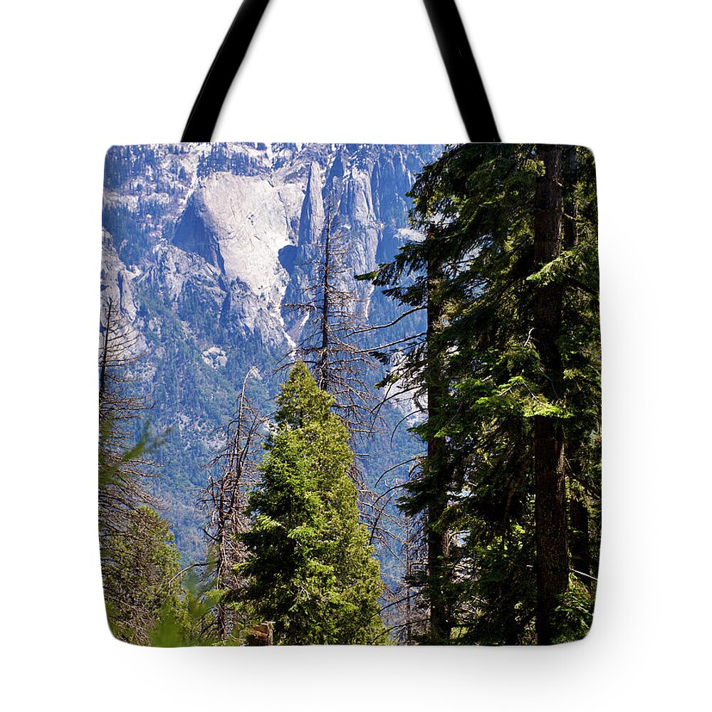 Peaks And Pines In Sequoia National Park Tote Bag featuring the photograph Peaks and Pines in Sequoia National Park, California. by Ruth Hager