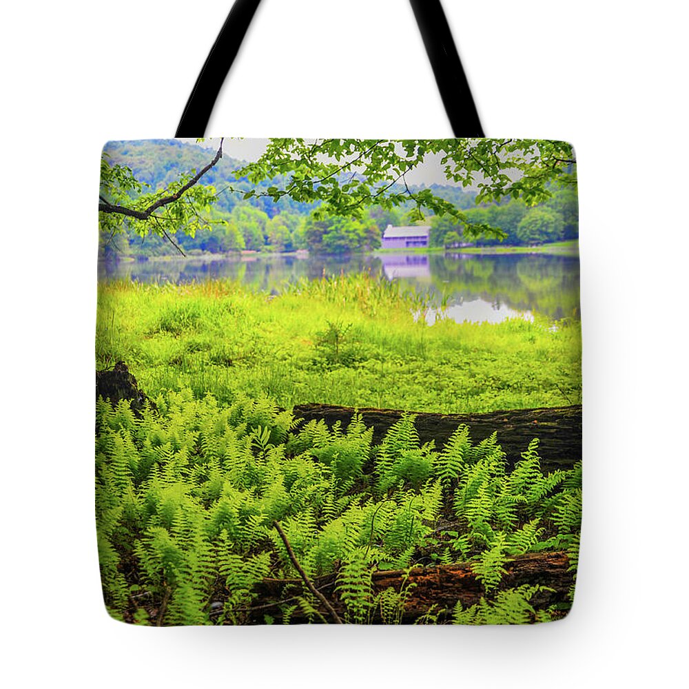 Virginia Tote Bag featuring the photograph Peaks of Otter in Virginia by James C Richardson