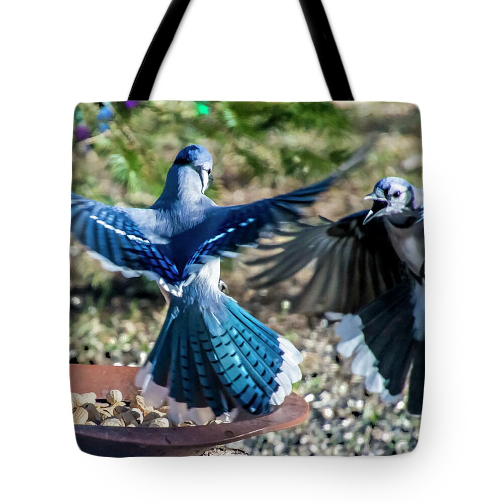 Bird Tote Bag featuring the photograph Peanut Dispute by Cathy Kovarik