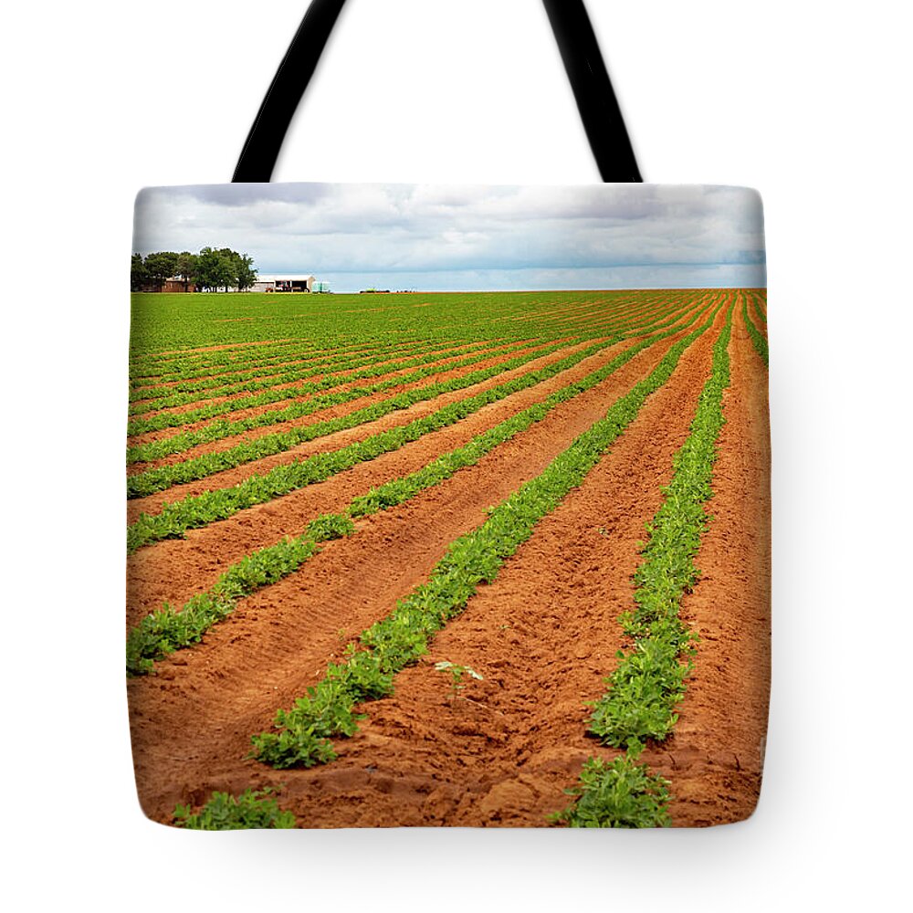Farm Tote Bag featuring the photograph Peanut Farm by Jim West