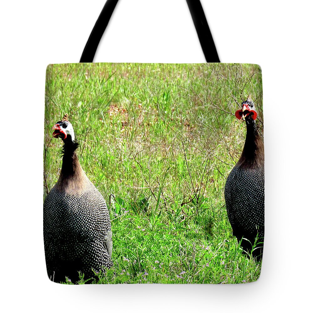 Pearl Guinea Keets Tote Bag featuring the photograph Pearl Guinea Keets by Amy Hosp