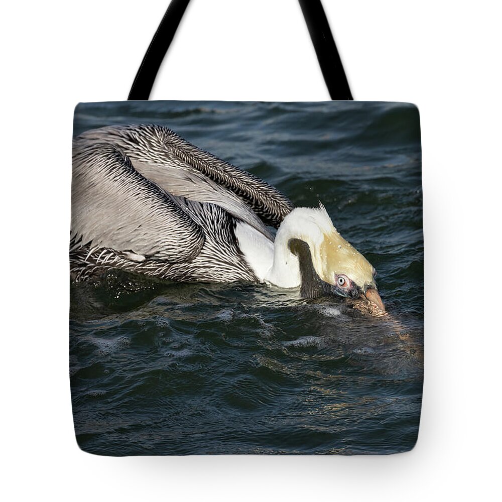 Birds Tote Bag featuring the photograph Peekaboo Pelican by RD Allen