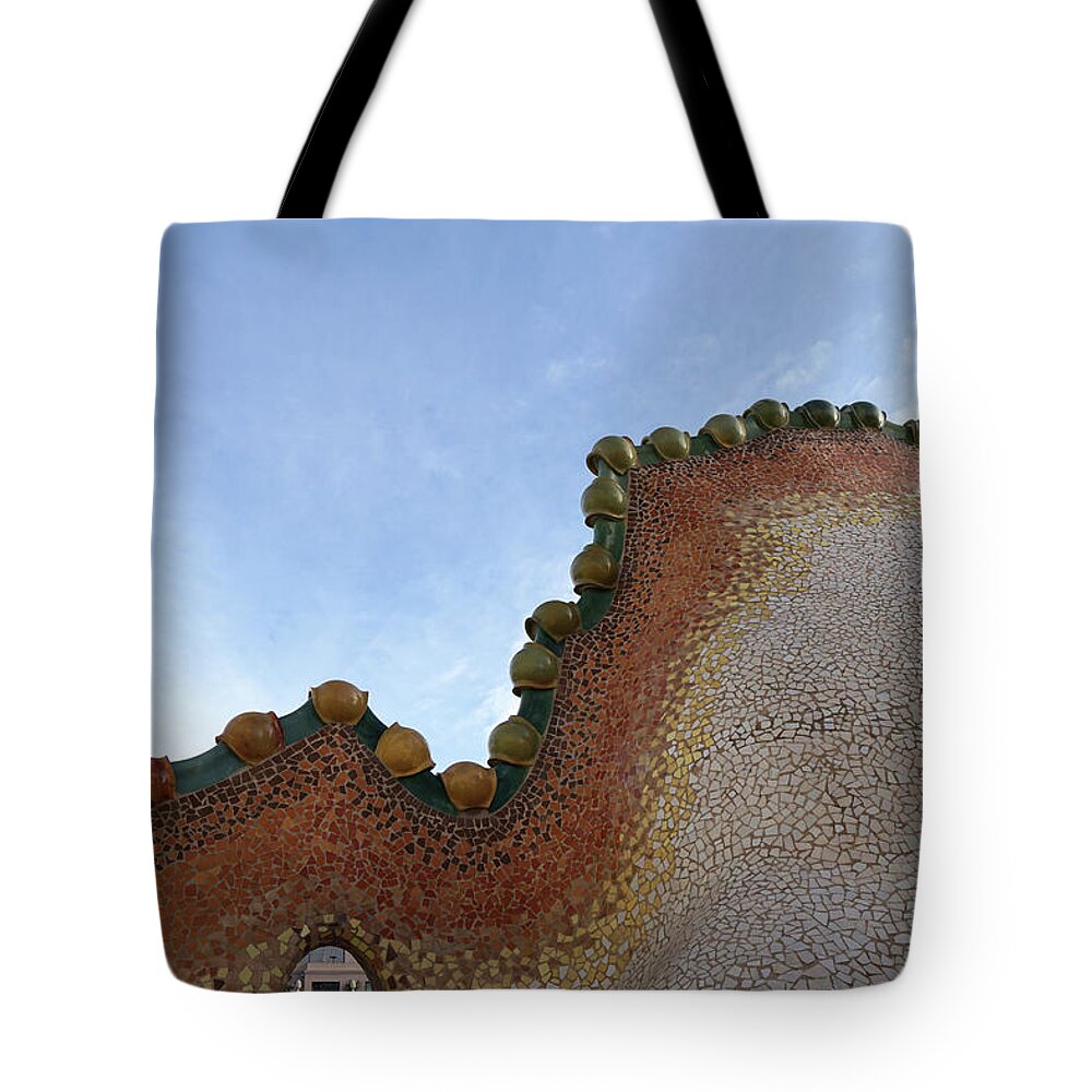 Richard Reeve Tote Bag featuring the photograph Peeking Under the Dragon Tail by Richard Reeve