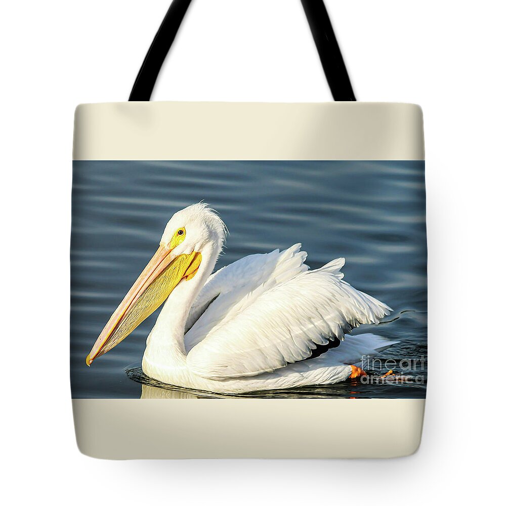 American White Pelican Tote Bag featuring the photograph Pelican Beauty by Joanne Carey