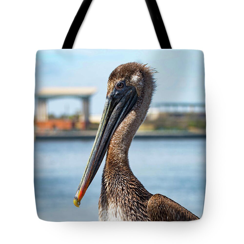 Pelican Tote Bag featuring the photograph Pelican in Downtown Pensacola, Florida by Beachtown Views