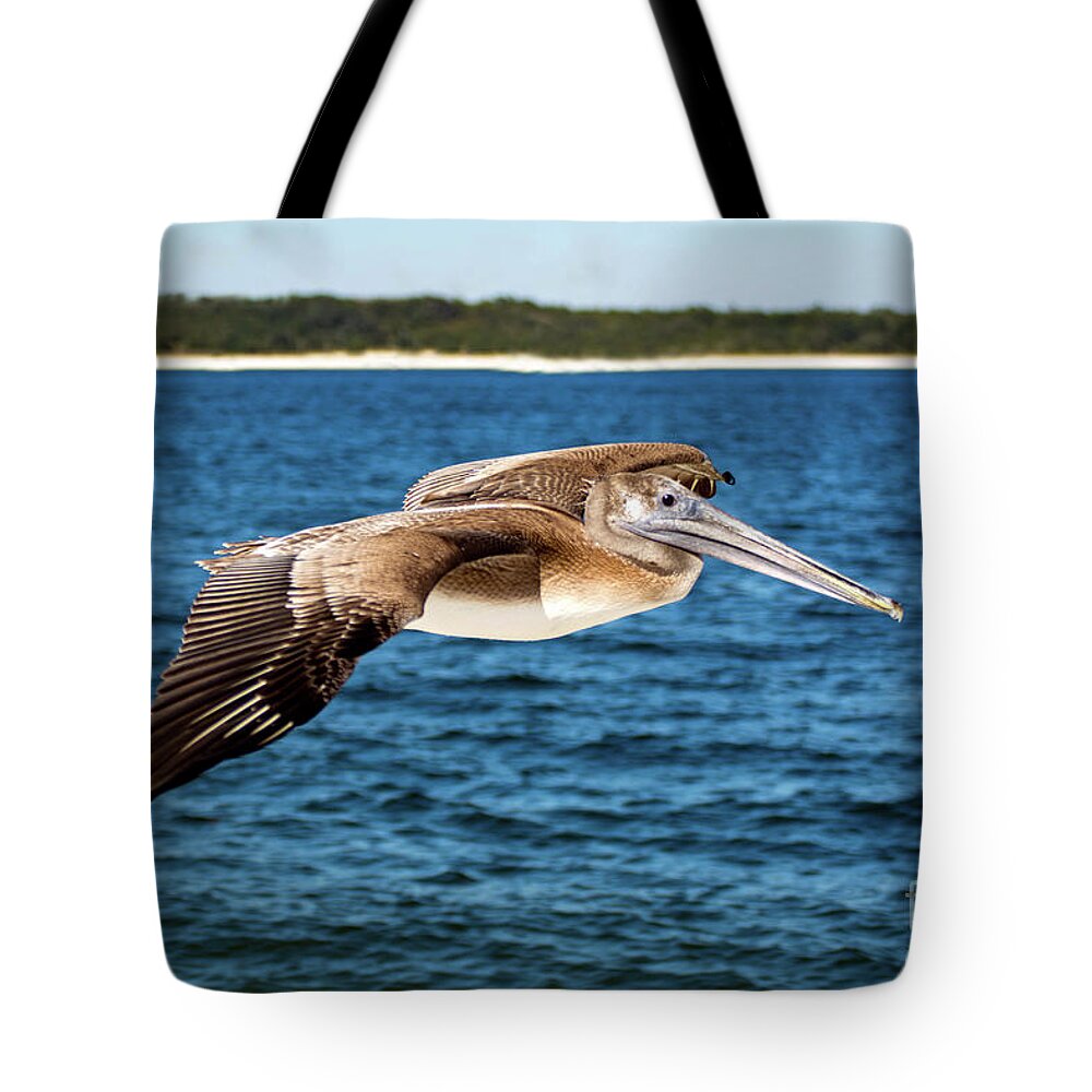 Pelican Tote Bag featuring the photograph Pelican In Flight by Beachtown Views