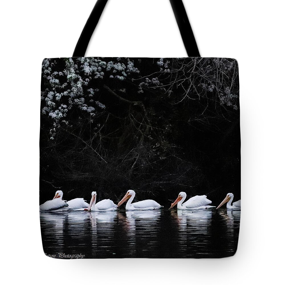 Pelicans Tote Bag featuring the photograph Pelican Serenity by Tahmina Watson