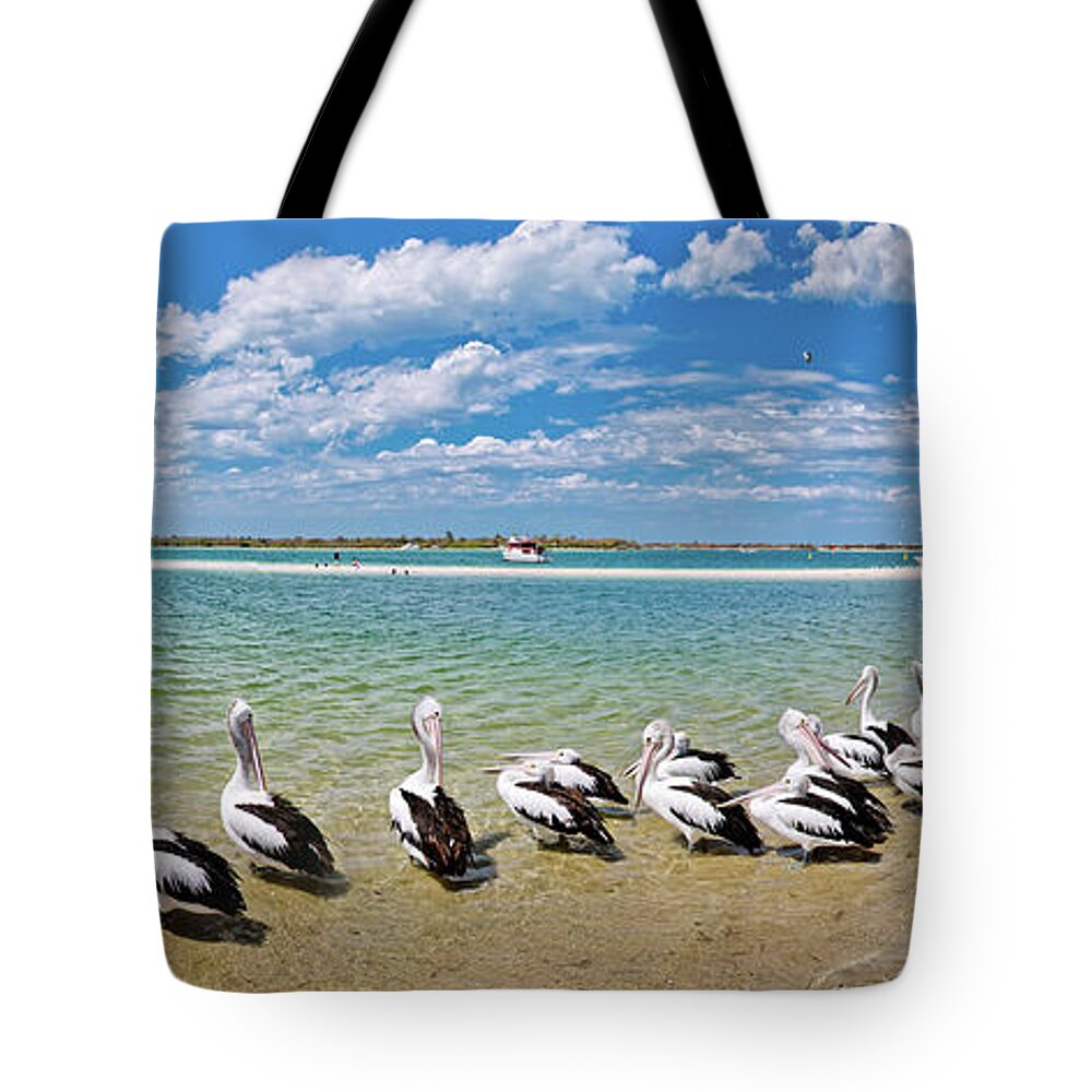 Pelican Shores Tote Bag featuring the photograph Pelican Shores by Az Jackson