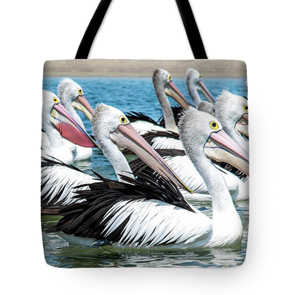 Australian Pelicans Tote Bag featuring the photograph Pelicans Adrift by Az Jackson